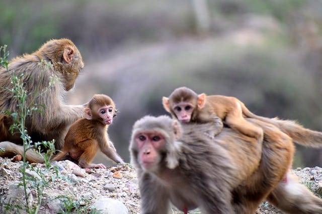 Bad News doesn't Age Well vs. Over-engineering Solutions